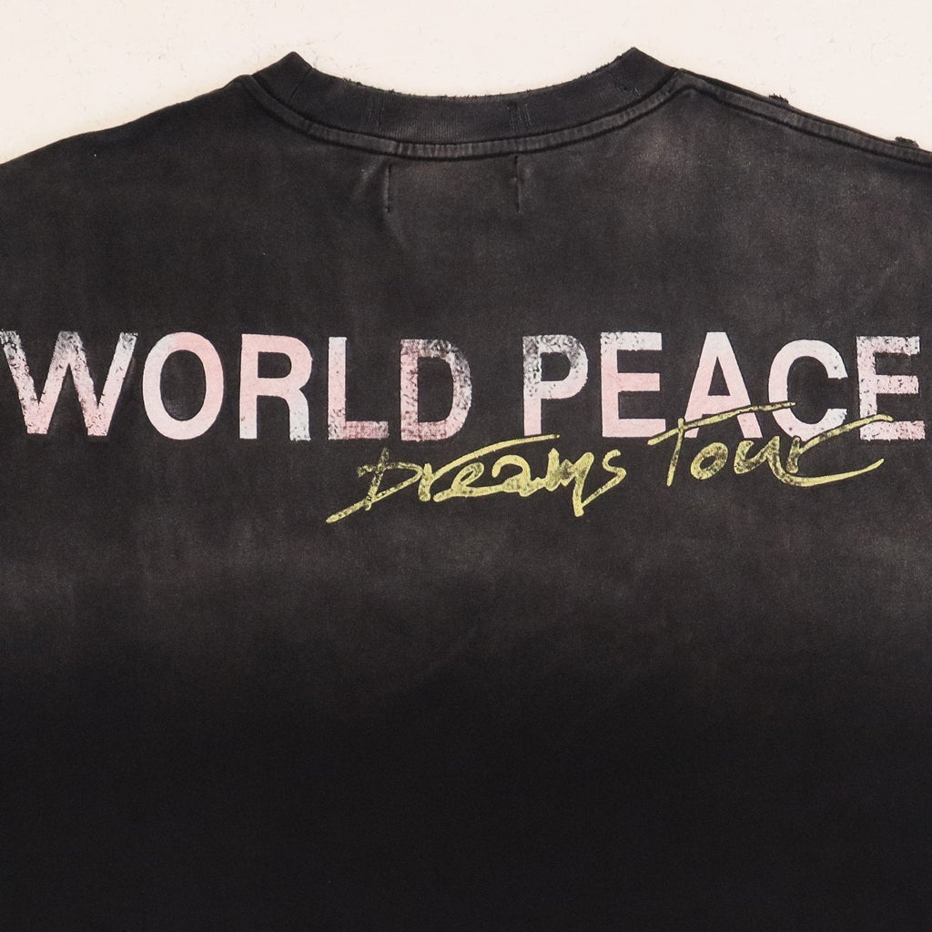 Valley Dreams World Peace Graphic T-Shirt